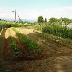 Bed and breakfast Al Borgo Lucca
