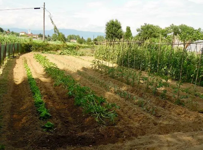 Bed and breakfast Al Borgo Lucca