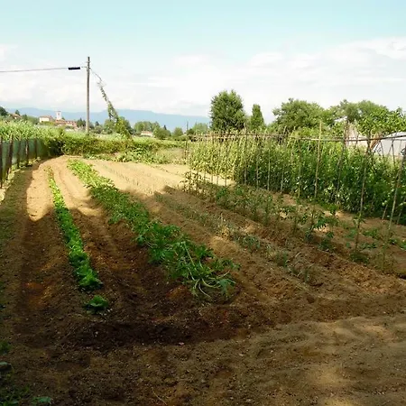 住宿加早餐酒店 Al Borgo 卢卡